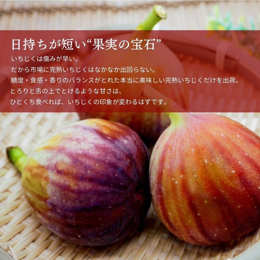 Amazon.co.jp: いちじく 【せた農園】 完熟 贈答用 L 12玉 1㎏ 和歌山